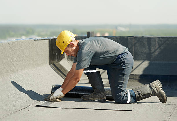 Best Insulation Maintenance and Repair in Pines Lake, NJ
