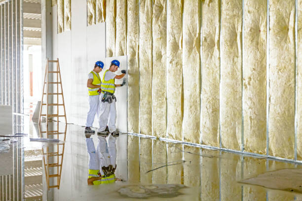 Best Residential Insulation in Pines Lake, NJ